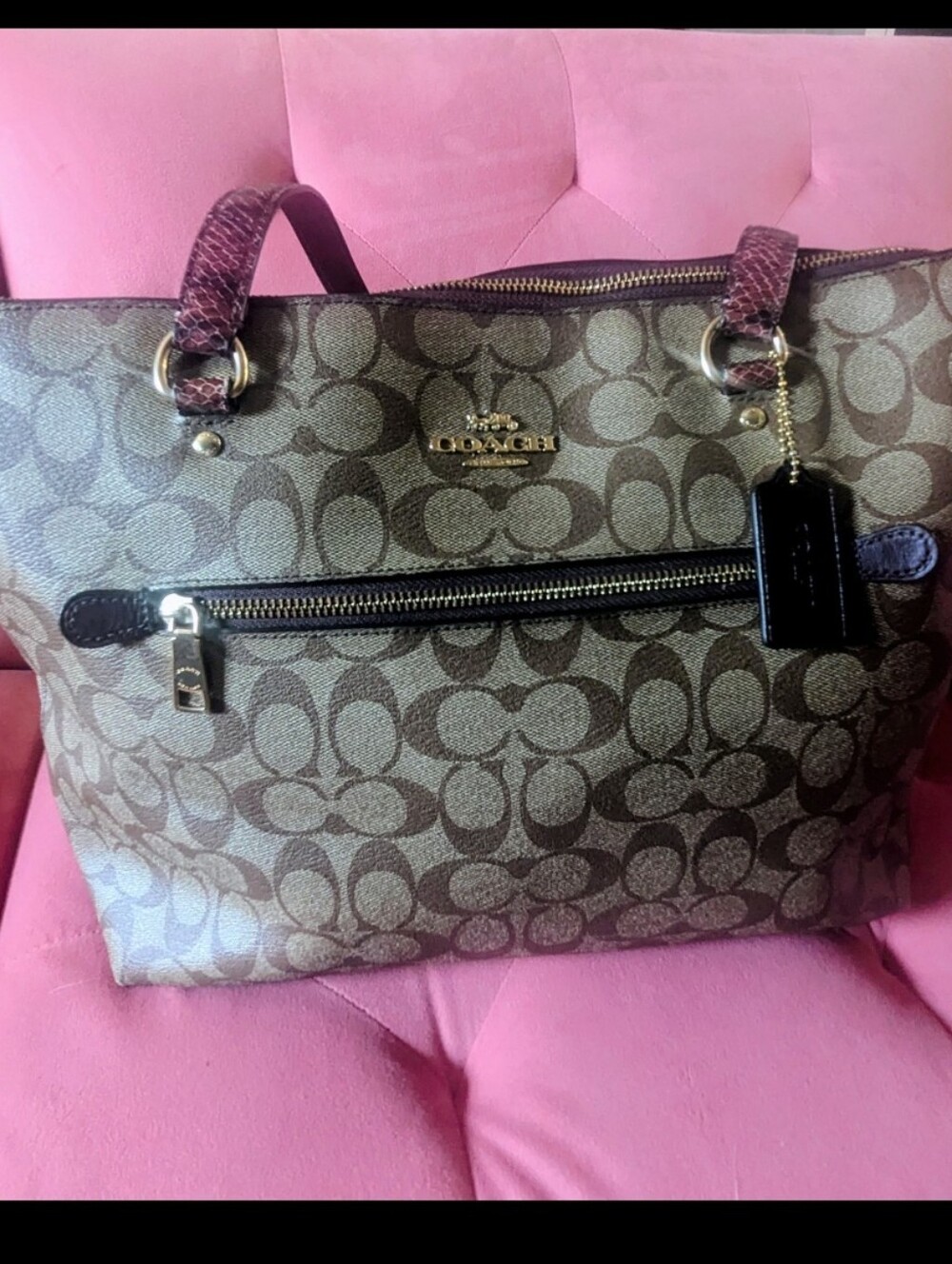 Coach Signature Canvas Tote Bag in Brown with Burgundy Snakeskin Handles